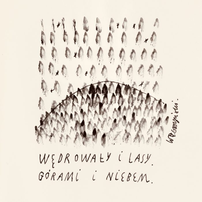 Lasy góry niebo